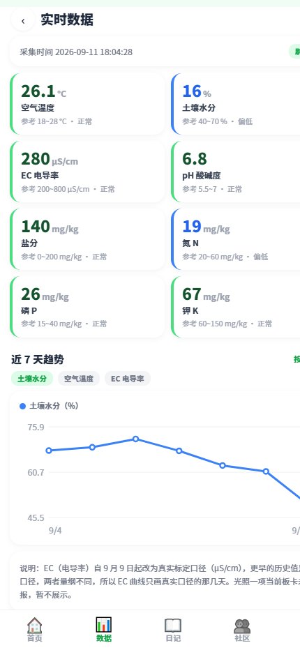 App 数据页