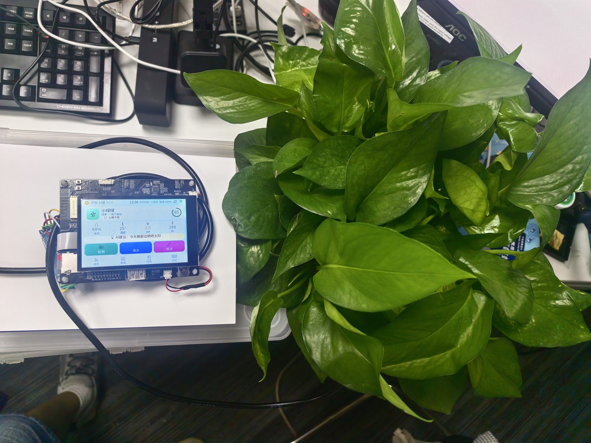 植小伴 AI 养植伴侣